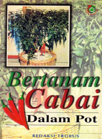 Image of BERTANAM CABAI DALAM POT