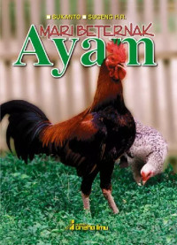 Image of MARI BETERNAK AYAM