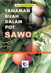 Image of TANAMAN BUAH DALAM POT - SAWO